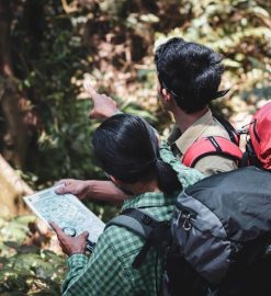 wilderness parents guide