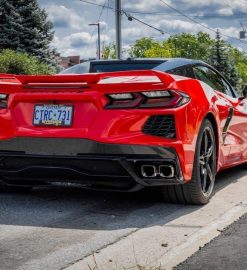 ontario drivers license renewal form pdf